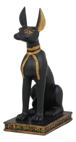 Ebros Ancient Egyptian Sitting Anubis in Jackal Dog Form Statue 9.25" Tall Anpu God of Afterlife Mummification and The Dead Collectible As Historical Cultural Heritage Academic Figurine - Ebros Gift