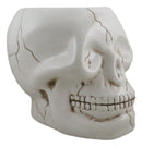 Ceramic Spooky Jointed Homosapien Human Skull Cereal Treat Soup Bowl 32oz