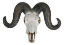 Rustic Majestic Texas Corsican Ram Skull With Horns Wall Decor Trophy 13"Wide