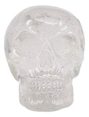 Set Of 4 Clear Translucent Witching Hour Gazing Skull Miniature Figurine 2.5"L