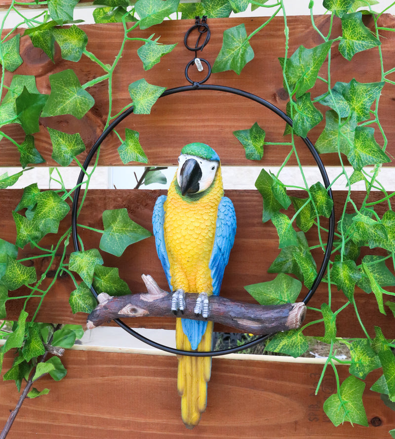 Ebros Hanging Blue And Gold Macaw Perching on Branch in Metal Round Ring 13.5"H