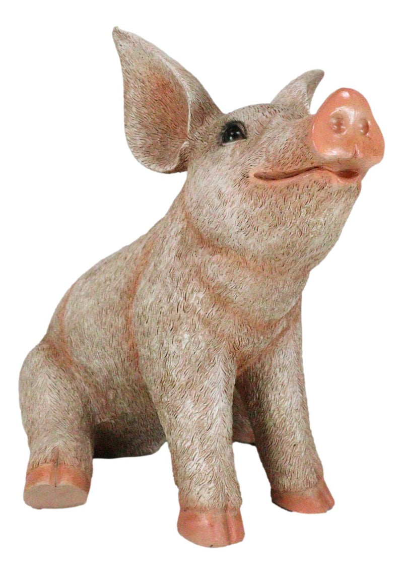 Large Country Farmhouse Adorable Realistic Animal Farm Babe Pig Sitting Statue