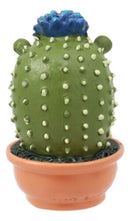 Pokey Cactus Hedgehog In A Pot Figurine Whimsical Fairy Garden Succulent Decor