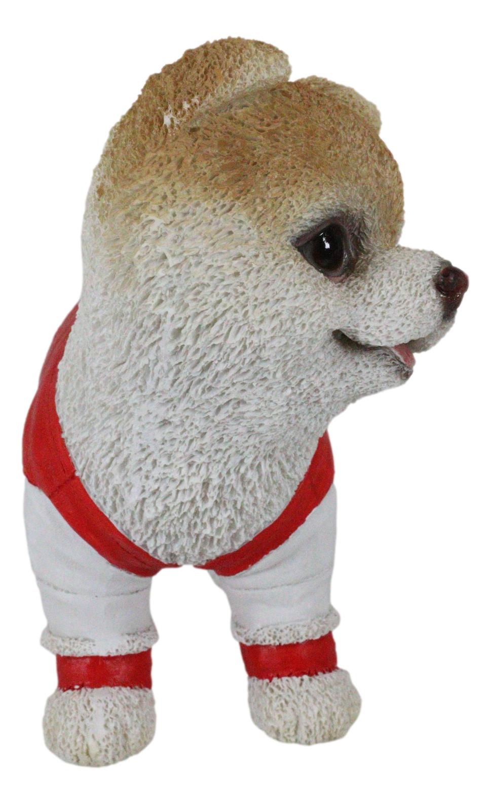 Ebros Gym Bro Boo The World's Cutest Pomeranian Dog Statue Pet Pal Dogs Collectible Breed Pomeranians Memorial Collectible Resin Decor Figurine with Glass Eyes Official Licensed Sculpture - Ebros Gift