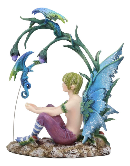 Ebros Gift Enchanted Fairy Garden Wild Boy Faerie Training His Pet Dragon Figurine Do It Yourself Ideas for Your Home Collectible Fairies Elf Nymph Pixies Fantasy Amy Brown Decor Sculpture