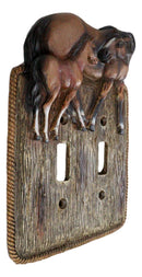 Set Of 2 Novelty Western Country Equine Horses Double Toggle Switch Plates