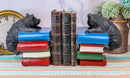 Ebros Rustic Wildlife Bear Cubs Climbing Stack Of Books Bookends 2 Figurine Set