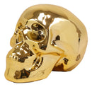 Electroplated Shiny Gold Cranium Skull Head Money Bank Resin Figurine 7.5"L