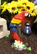 Ebros 14" Tall Red Scarlet Macaw Parrot Perching On Tree Stump Statue with Solar LED Lantern Light Path Lighter Home Garden Patio Parrots