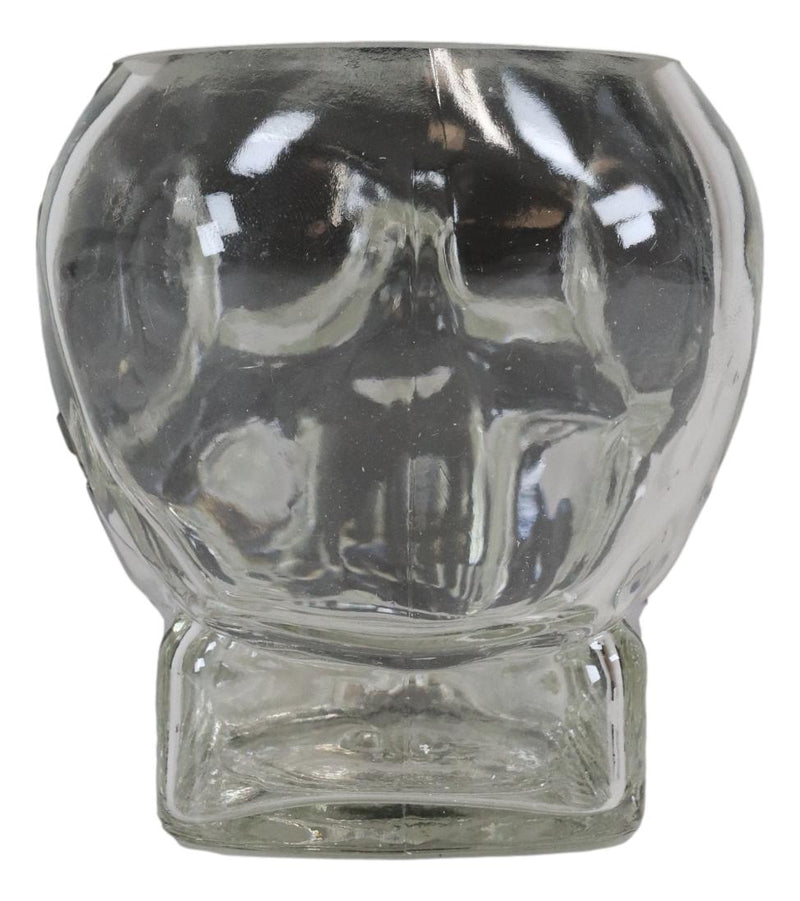 Ebros Skeleton Skull Glass Bowl Drink Stationery Office Holder Figurine Collectible