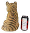 Ebros 9.25"H Realistic Bengal Orange Tiger Cub Statue With Glass Eyes Jungle Tigers
