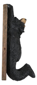 Set Of 2 Rustic Western Black Bear Clinging On Faux Wood Plank Wall Coat Hooks