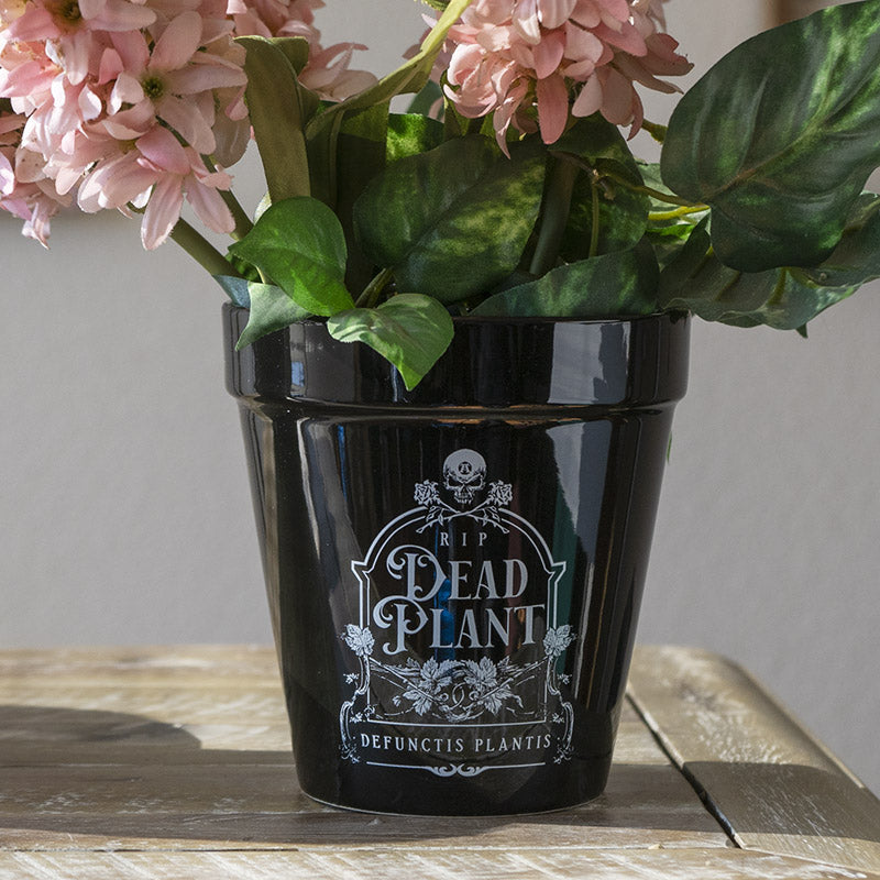 Dead Plant RIP Skull Grave Tombstone Wicca Witch Flower Herbs Planter Pot - Ebros Gift