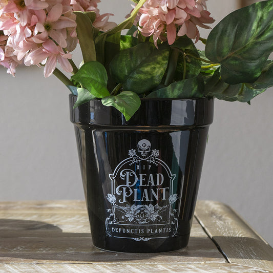 Dead Plant RIP Skull Grave Tombstone Wicca Witch Flower Herbs Planter Pot - Ebros Gift