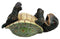 Ebros Drunken Coastal Sea Turtle Tortoise Wine Bottle Holder Caddy Figurine As Home Kitchen Wine Cellar Decorative Storage Organizer Solution of Wild Aquatic Animals Turtles Terrapins Tortoises Decor