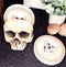 Ebros Gothic Bone Cream  Homosapien Half Skull Base Holder With 4 Coasters Set