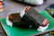 Made In Japan Pack Of 2 Non Stick Spam Luncheon Meat Musubi Maker Kit Press Mold