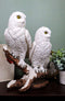 Ebros Mystical Two White Snowy Owl Couple Perching On Tree Branch Statue 12.25"Tall
