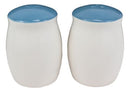 Ebros Marine Mermaid Kisses Starfish Wishes Ceramic Salt And Pepper Shakers Set