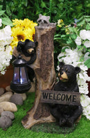 Ebros Forest Black Bear Mama And Cub With Raccoon Welcome Sign Solar LED Light Statue