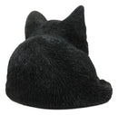 Ebros Lifelike Sleeping Tuxedo Black and White Cat Statue 7" Long Pet Pal Kitten Decor Figurine