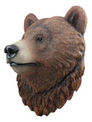 Ebros Brutus Realistic Large Brown Grizzly Bear Head Wall Decor 3D Plaque 15.5"Tall