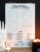 Gothic Wicca Phrenology Alternative Science Of Human Mind Metal Wall Sign Decor