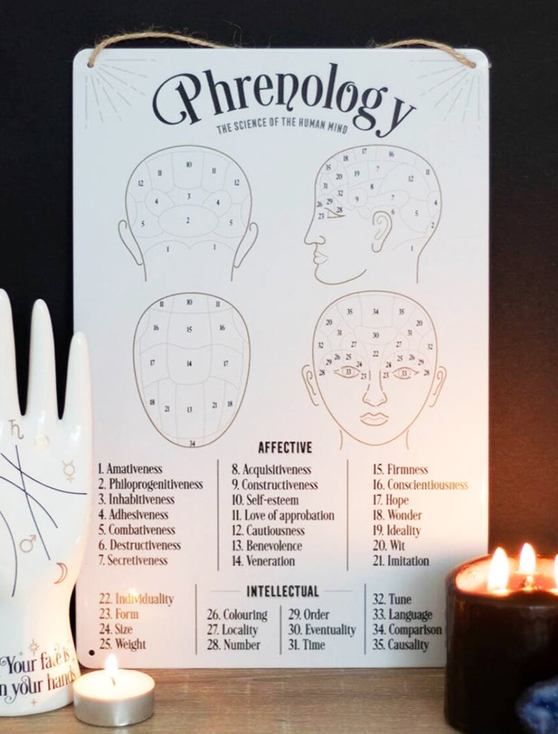 Gothic Wicca Phrenology Alternative Science Of Human Mind Metal Wall Sign Decor