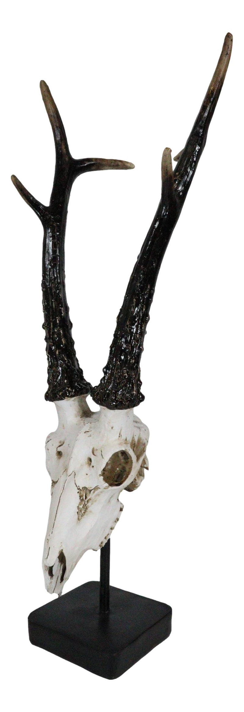 Large 19"H Rustic African Gazelle Antelope Bust Head Sculpture With Trophy Base