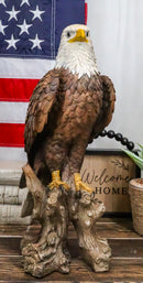 American Pride National Emblem Bald Eagle Statue 16.5"H Independence Day Glory