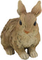 Ebros Crouching Bunny Rabbit Resin Statue 5.5"H Faux Driftwood Finish Figurine