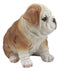 Ebros Realistic Lifelike Bulldog Puppy Statue 6" Tall British Bulldog Figurine