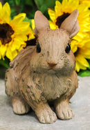 Ebros Crouching Bunny Rabbit Resin Statue 5.5"H Faux Driftwood Finish Figurine