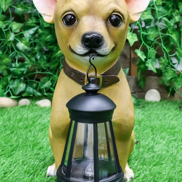 Picante Mexican Chihuahua Dog Decor Path Lighter Statue With