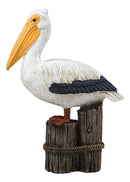 Ebros Gift 12" Tall Ocean Marine Beach Coastal Great White Pelican Perching On Getty Post Statue Home Decor Birds Pelicans Nature As Centerpiece Decorative Sculpture Figurine