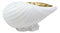 Ebros 10" L Golden Nautilus Mollusc Sea Shell Jewelry Dish Bowl Decor Statue
