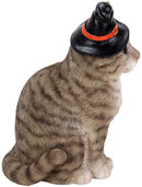 Ebros Gray Tabby Cat with Wizard Witches Hat Collectible Home Decor Figurine