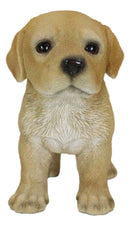 Adorable Labrador Puppy Dog with Begging Glass Eyes Figurine Pet Pal Animal Art