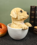 Ebros Realistic Adorable Golden Labrador Puppy in Teacup Statue 6"H