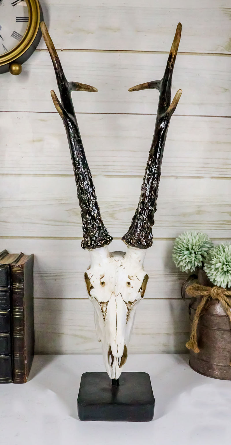 Large 19"H Rustic African Gazelle Antelope Bust Head Sculpture With Trophy Base