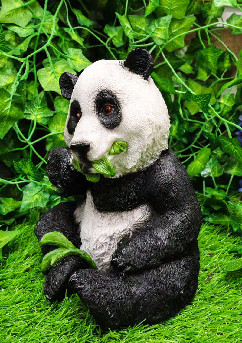 Adorable Giant Panda Bear Cub Eating Bamboo Leaves Figurine With Glass Eyes