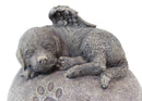 Pet Memorial My Love Sleeping Angle Dog Foot Print Rock Urn Bottom