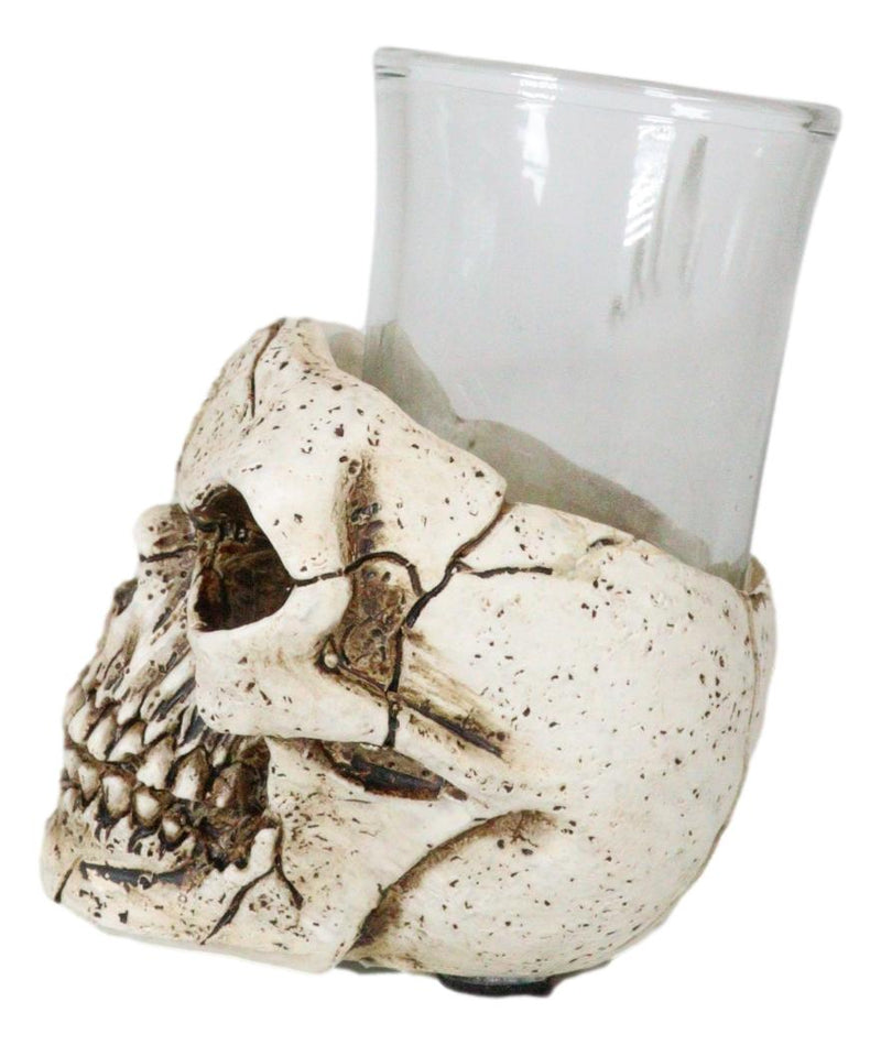 Set Of 4 Gothic Graveyard Macabre Grinning Evil Skull Shot Glass Holder Figurine