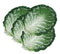 Ebros Ceramic Iceberg Lettuce Leaf Serving Platter Dinner Plate Vegetable Accent Dish 10.75"Wide For Salads Veggies Fruits Entrees Kitchen Dining Essentials Accessory (4)