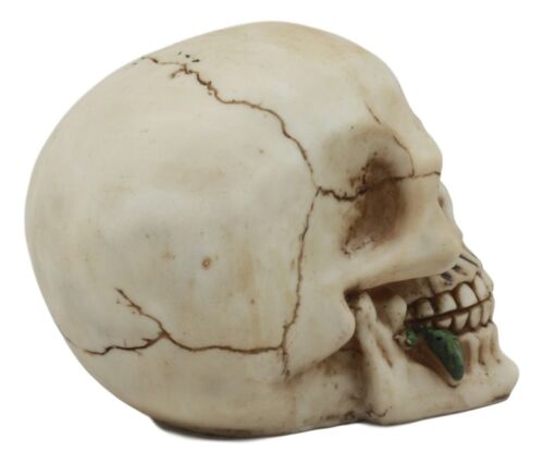 Romantic Goth Skull Biting A Stalk Of Red Rose Statue Lover Never Dies Eternal