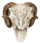 Gothic Macabre Ammon Cultic Tribal Tooled Tattoo Scrimshaw Ram Skull Figurine