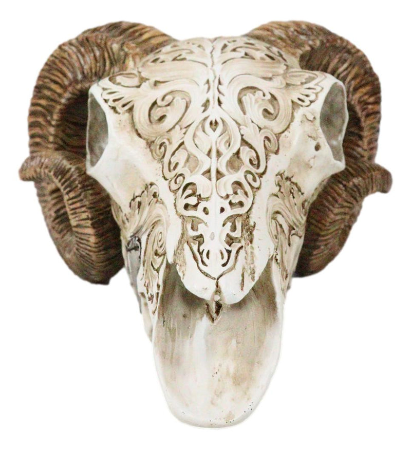 Gothic Macabre Ammon Cultic Tribal Tooled Tattoo Scrimshaw Ram Skull Figurine