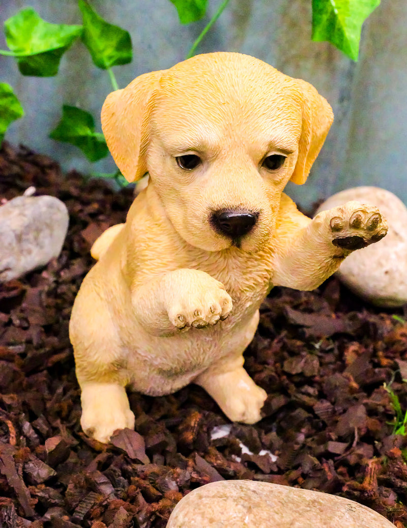 Ebros Begging Adorable Labrador Retriever Puppy Dog On Hind Legs Pet Pal Statue