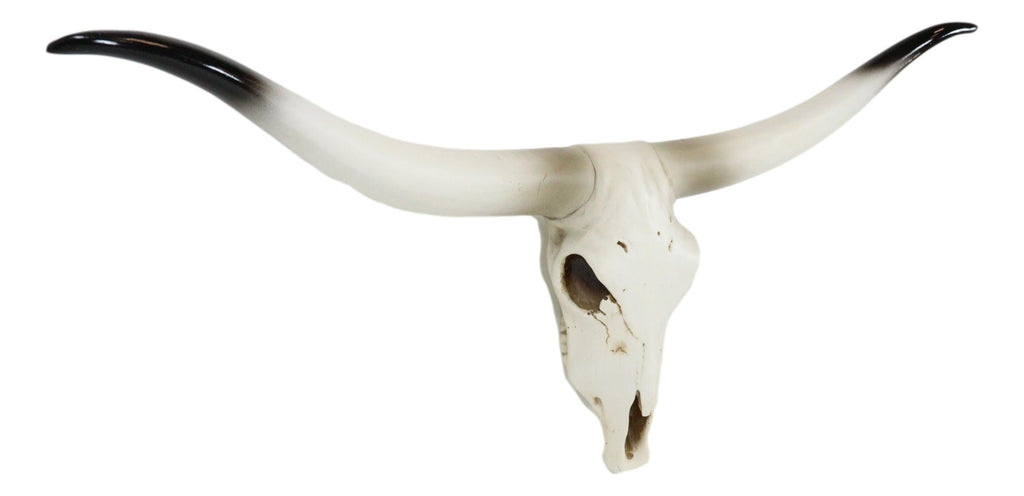 20" L Rustic Western Texas Longhorn Steer Cow Skull Resin Wall Decor P ...