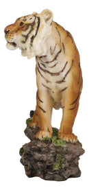 Sultan Orange Bengal Tiger On Rock Statue 7.25"Long Giant Cat Wild Animal Decor